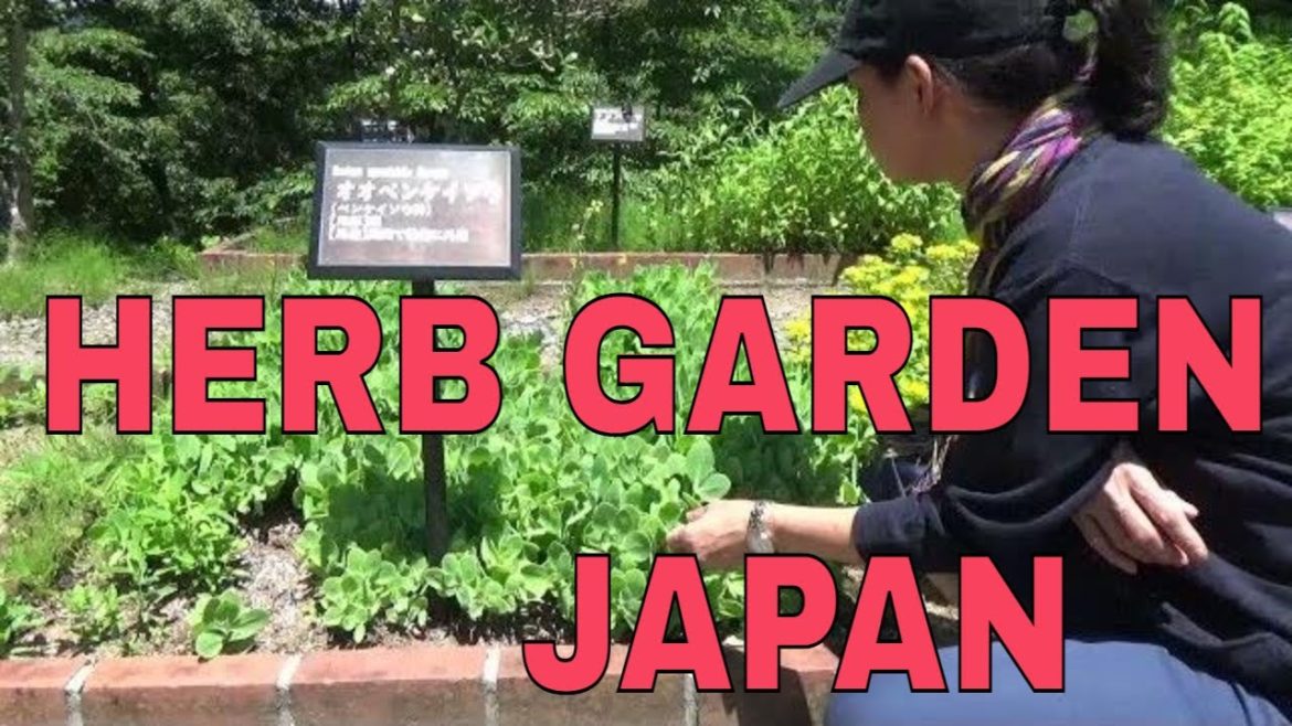 LOVING JAPANESE GARDENS:   HERB GARDEN IN KAISEIZAN, KORIYAMA CITY JAPAN