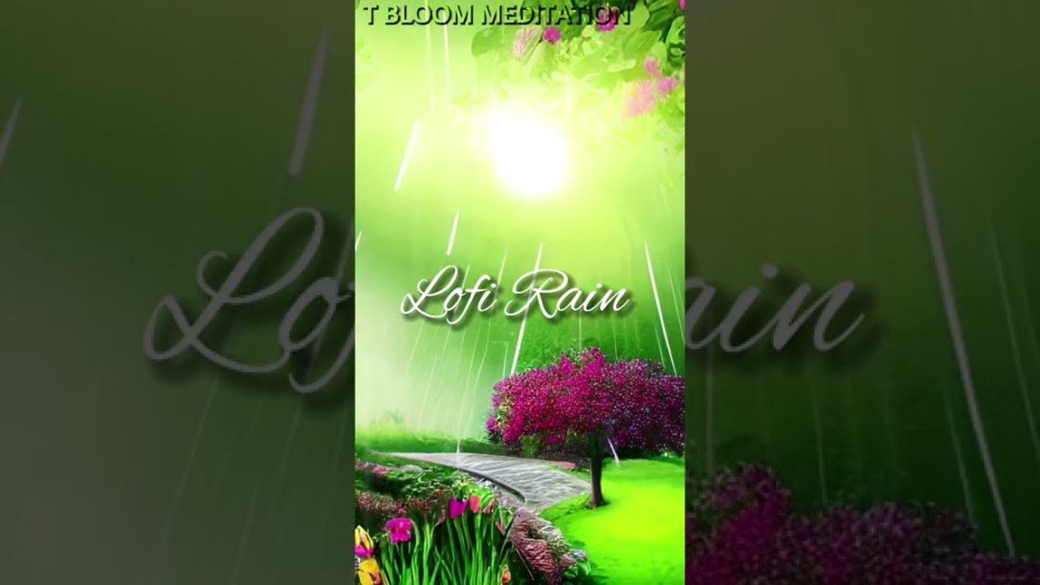 Lofi Rain- Japanese garden -lofi hip hop, lofi study music