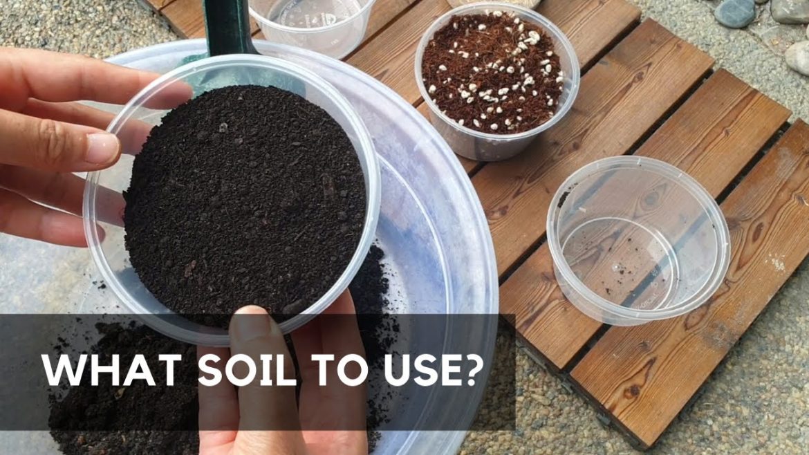DIY POTTING MIX | soil for container garden