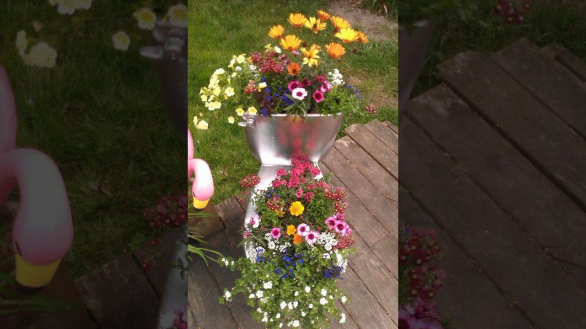 garden ideas | reuse waste material #shorts #youtube garden ideas | reuse waste material #shorts #youtube