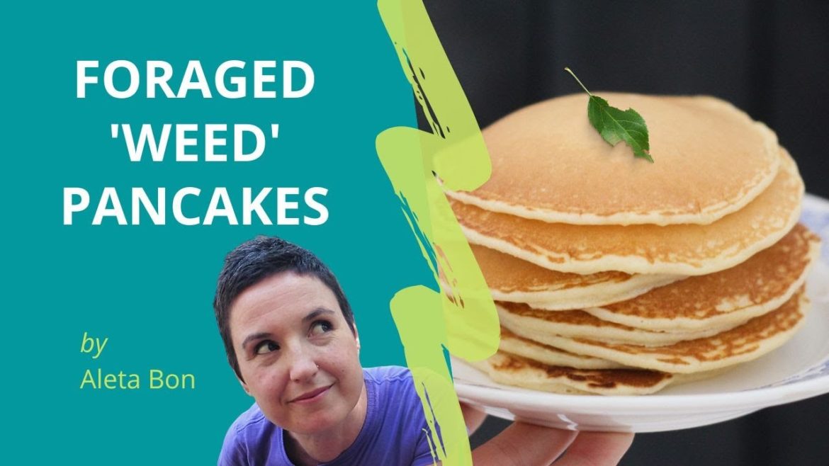 Foraged Pancakes – with cobbler's pegs and blackberry nightshade, garden weeds Foraged Pancakes - with cobbler's pegs and blackberry nightshade, garden weeds