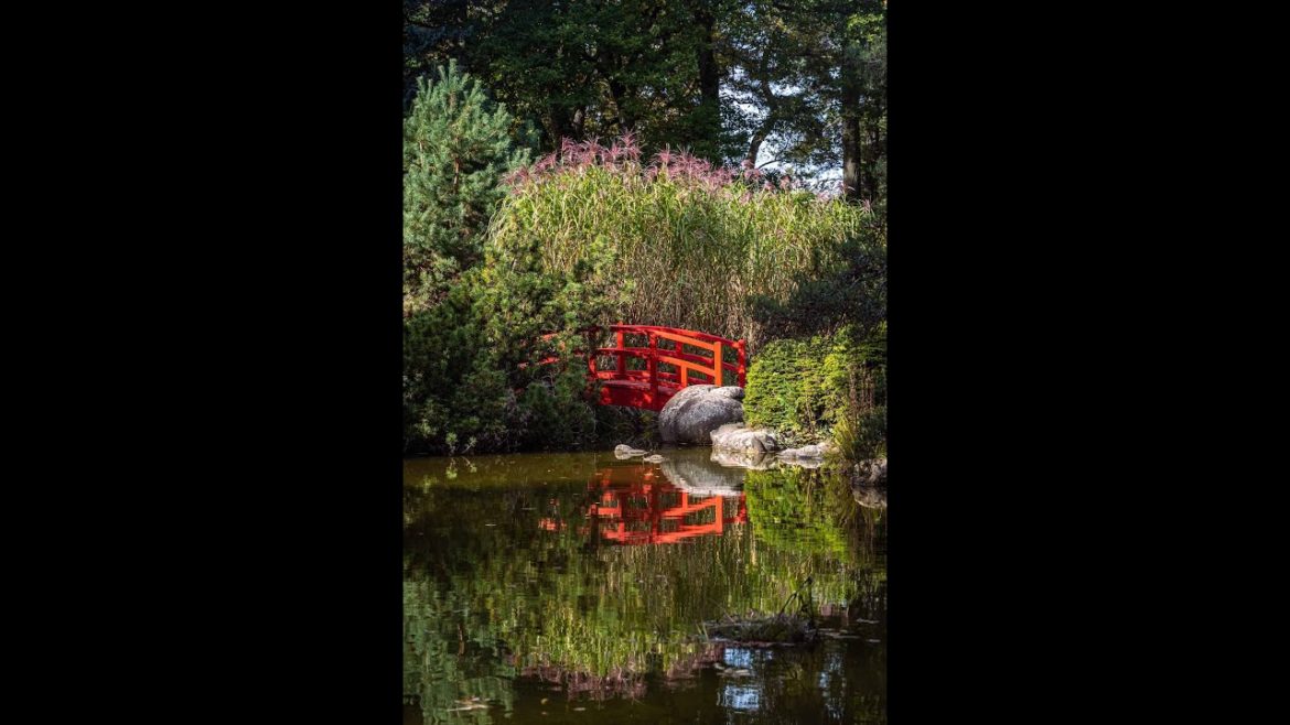Le jardin japonais d'Aincourt - Val d'Oise | Sortiraparis
