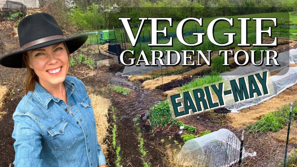 Vegetable Garden Tour Early-May 2022:  Zone 6a, Ohio