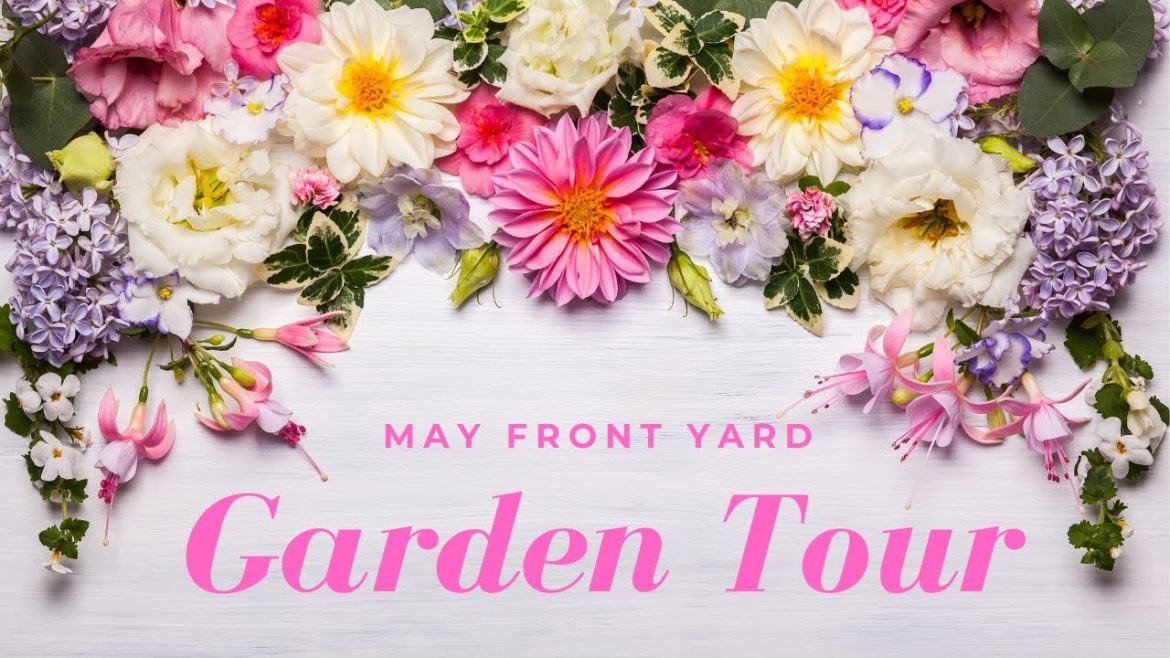 My May Front Yard Garden Tour My May Front Yard Garden Tour