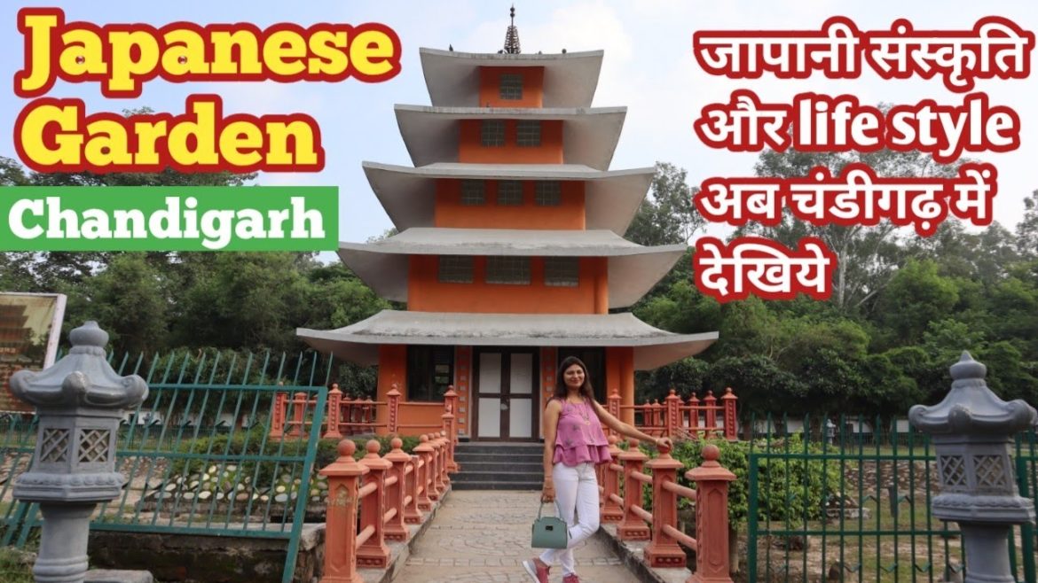 Japanese Garden Chandigarh | Best garden in Chandigarh | top tourist destination in Chandigarh