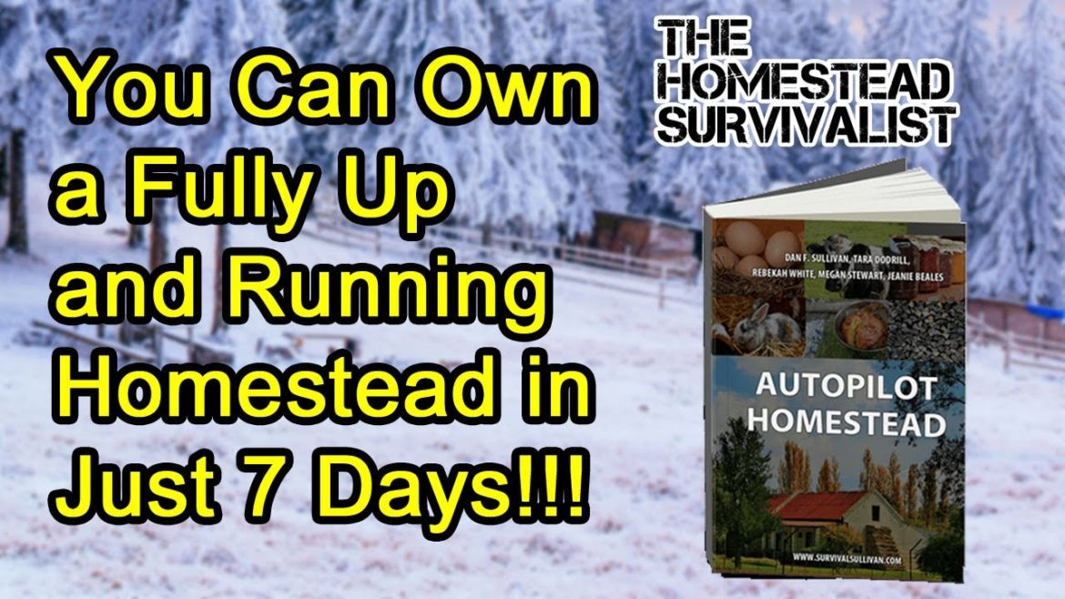 🆕 Get a Homestead Up and Running in Just 7 Days 👉 Autopilot Homestead by Dan Sullivan