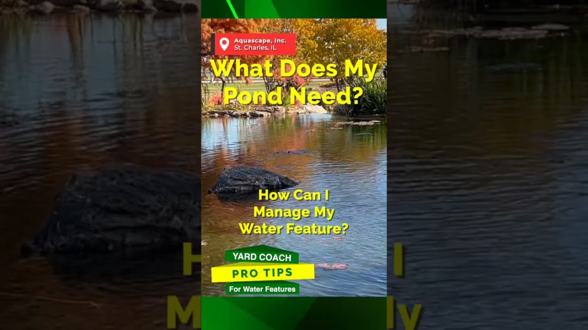 Your Pond Needs Fish! | Managing your Water Feature | Pro-Tip