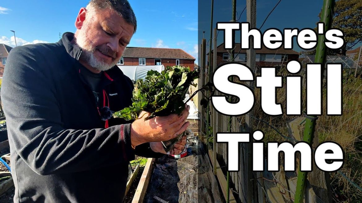 We Can Still Plant Vegetables and Fruit Now  - Allotment Garden With Tony