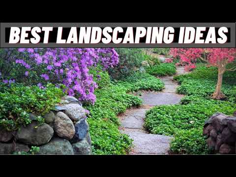 No Grass Front Yard Landscaping Ideas ▶ Must Watch for No Grass Front Yard Landscaping Ideas No Grass Front Yard Landscaping Ideas ▶ Must Watch for No Grass Front Yard Landscaping Ideas