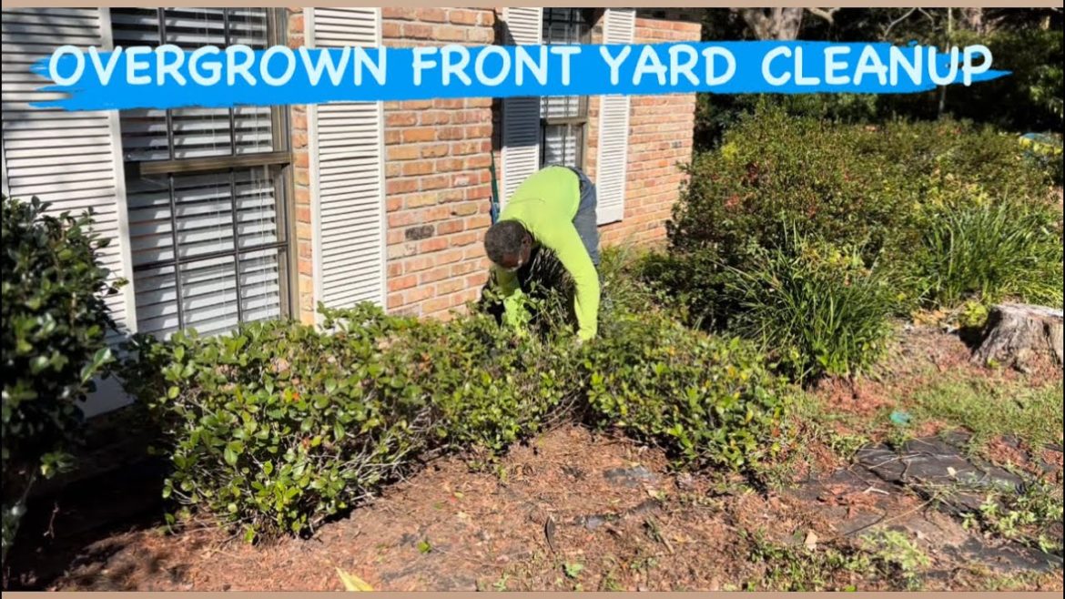 OVERGROWN FRONT YARD CLEANUP-GARDEN BED MAKEOVER OVERGROWN FRONT YARD CLEANUP-GARDEN BED MAKEOVER