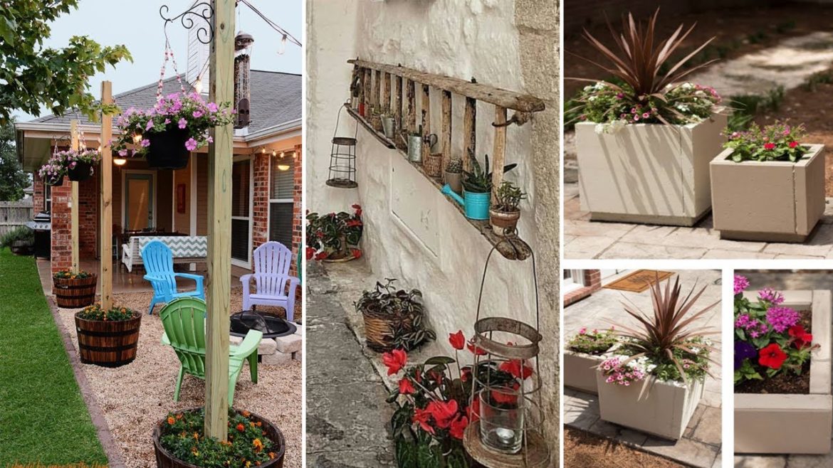 55+ DIY Backyard Decor Ideas on a Budget That Ooze Curb Appeal 55+ DIY Backyard Decor Ideas on a Budget That Ooze Curb Appeal