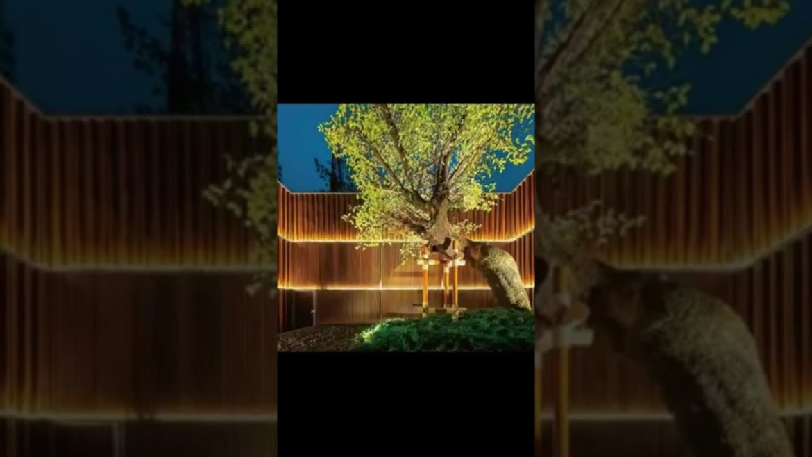 Landscape Desing ideas Best ideas for  garden and landscape #136510 #shorts 16 Landscape Desing ideas Best ideas for  garden and landscape #136510 #shorts 16