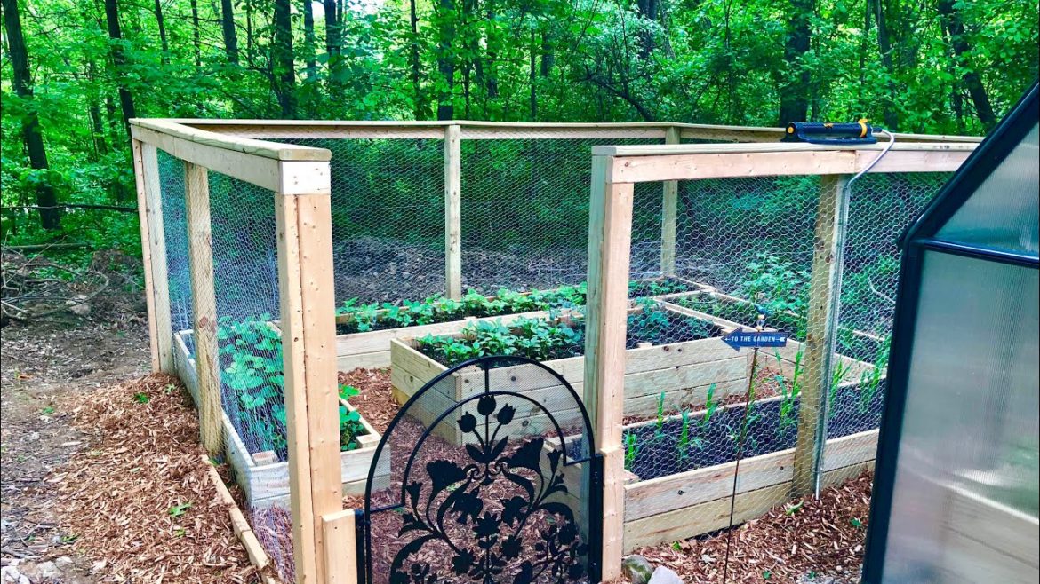 Backyard Garden Construction Backyard Garden Construction