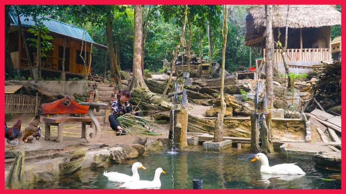 Redo the vegetable garden, Design knitting potholes for laying hens. Building farm, free life (ep28)