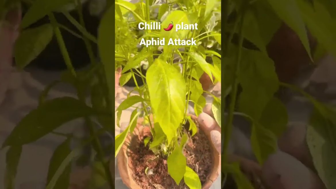 Epic Gardening #tips #pestcontrol #new Epic Gardening #tips #pestcontrol #new
