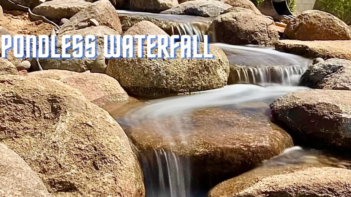 Backyard Transformation