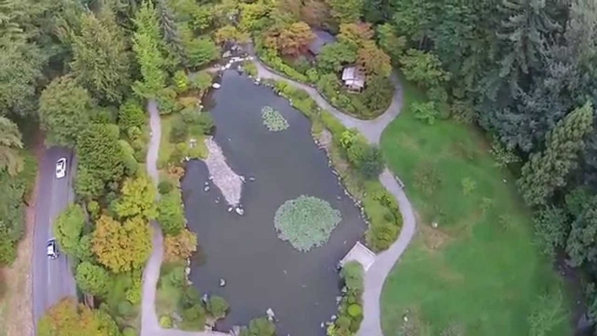 Seattle's Japanese Garden