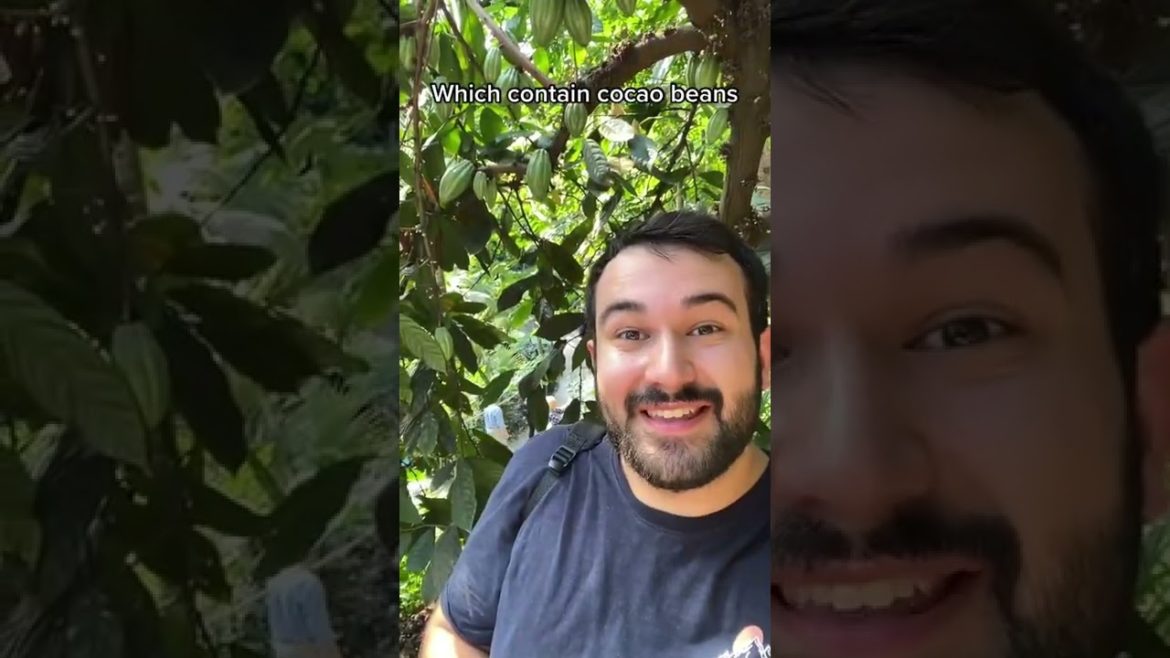 #shorts #garden #gardening #gardentour #gardener #gardens #harvest #harvesting #organic #planting #shorts #garden #gardening #gardentour #gardener #gardens #harvest #harvesting #organic #planting