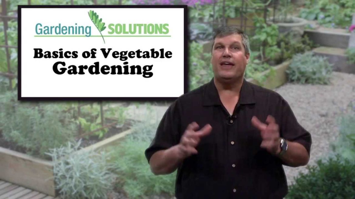 Gardening Solutions - Basics of Vegetable Gardening