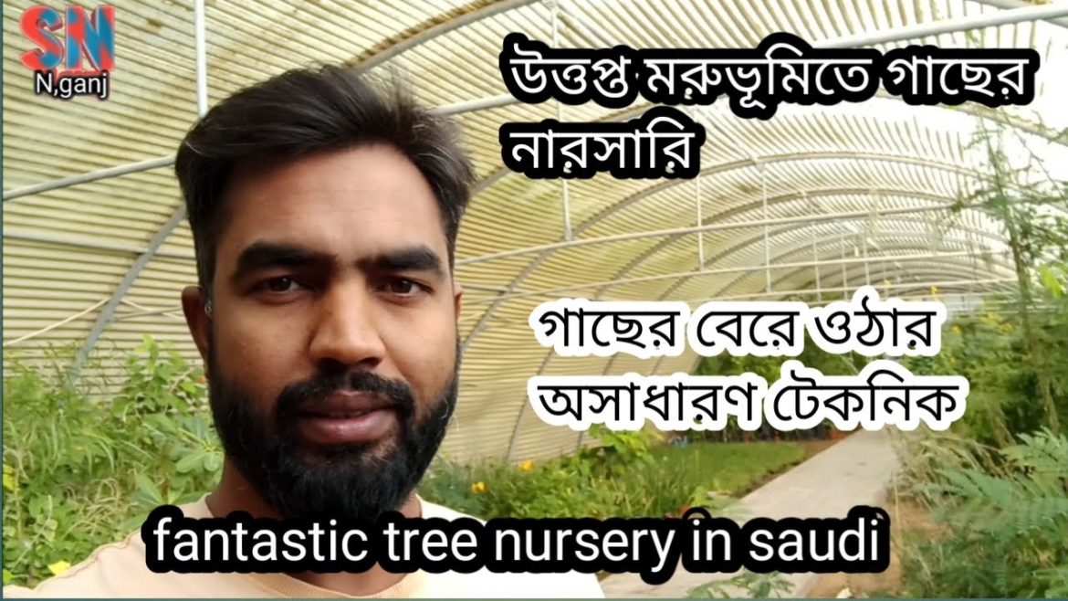 fantastic tree nursery in saudi arabia,best nursery garden. fantastic tree nursery in saudi arabia,best nursery garden.