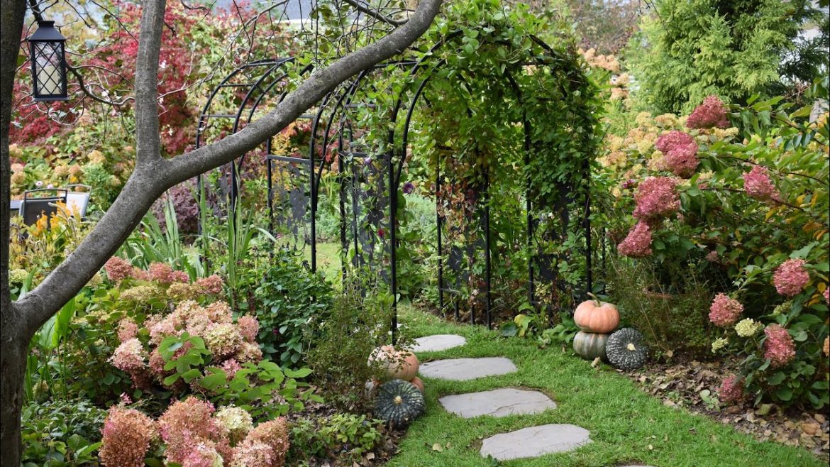 October Garden Tour // Fall Garden Tour 2022 // Northlawn Flower Farm October Garden Tour // Fall Garden Tour 2022 // Northlawn Flower Farm