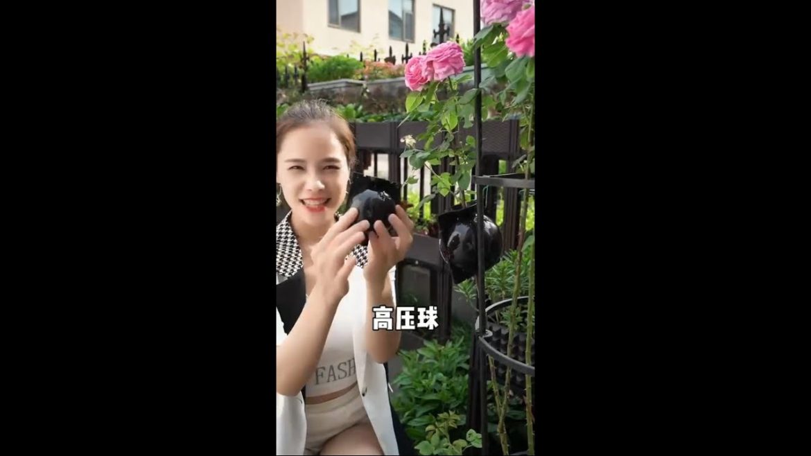 Plant Rooting Device Plastic High Pressure Grafting Ball Boxes Growing Breeding Gardening Supplies