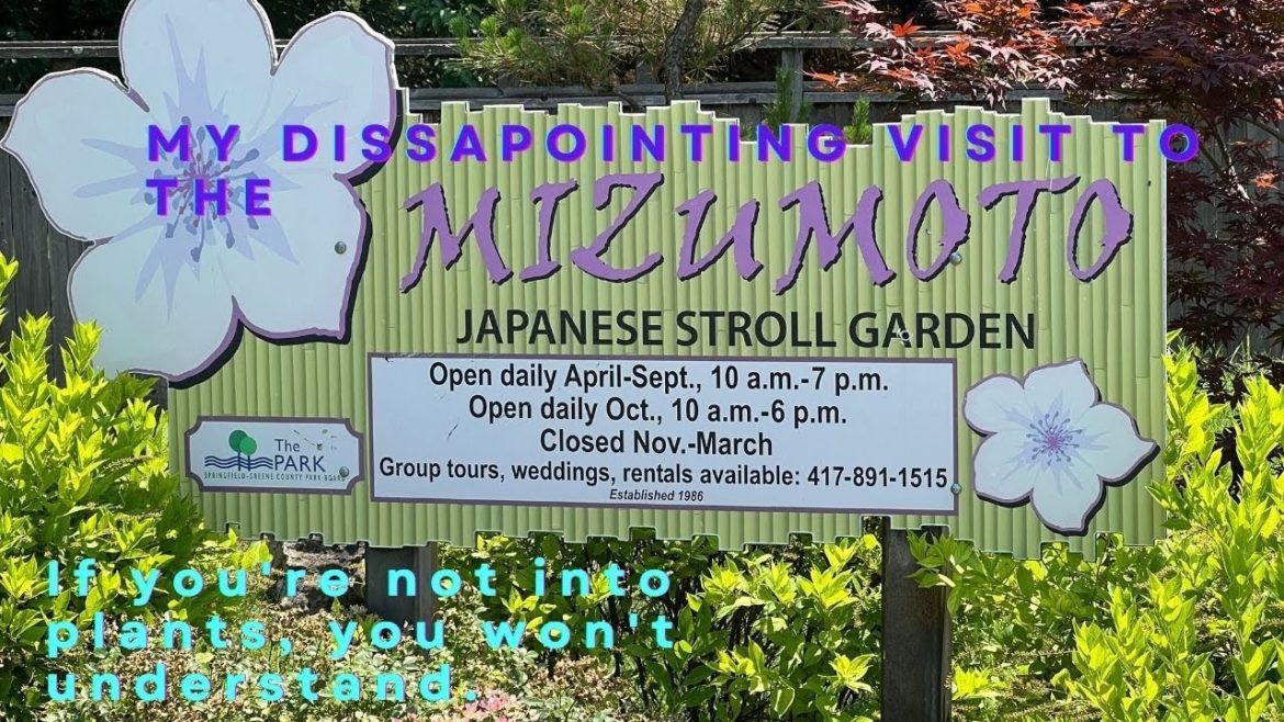 My disappointing visit to the Mizumoto Japanese stroll garden.