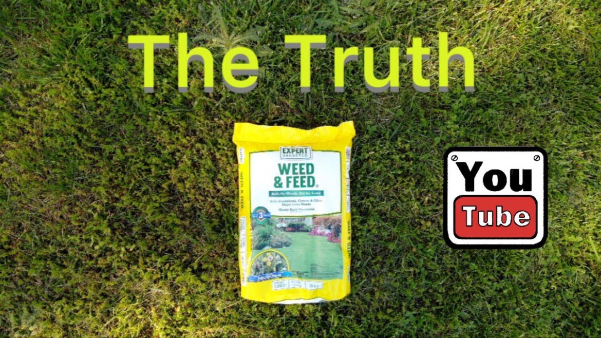 The Truth about Expert Gardener Weed and Feed The Truth about Expert Gardener Weed and Feed