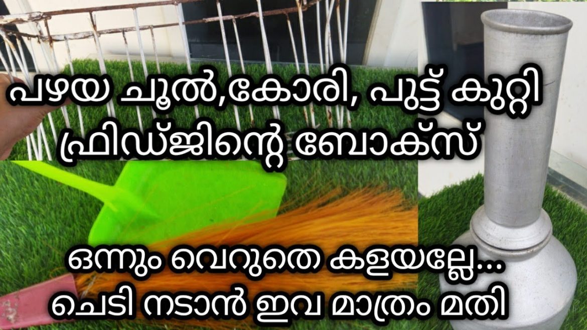 Waste material reuse ideas/diy garden ideas/gardening idea for home/gardening/plants