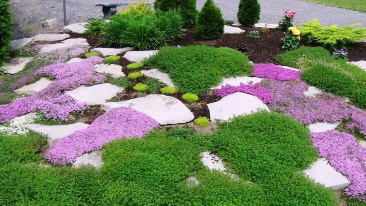 Small Front Yard Landscaping Ideas Rocks  - House Design Styles