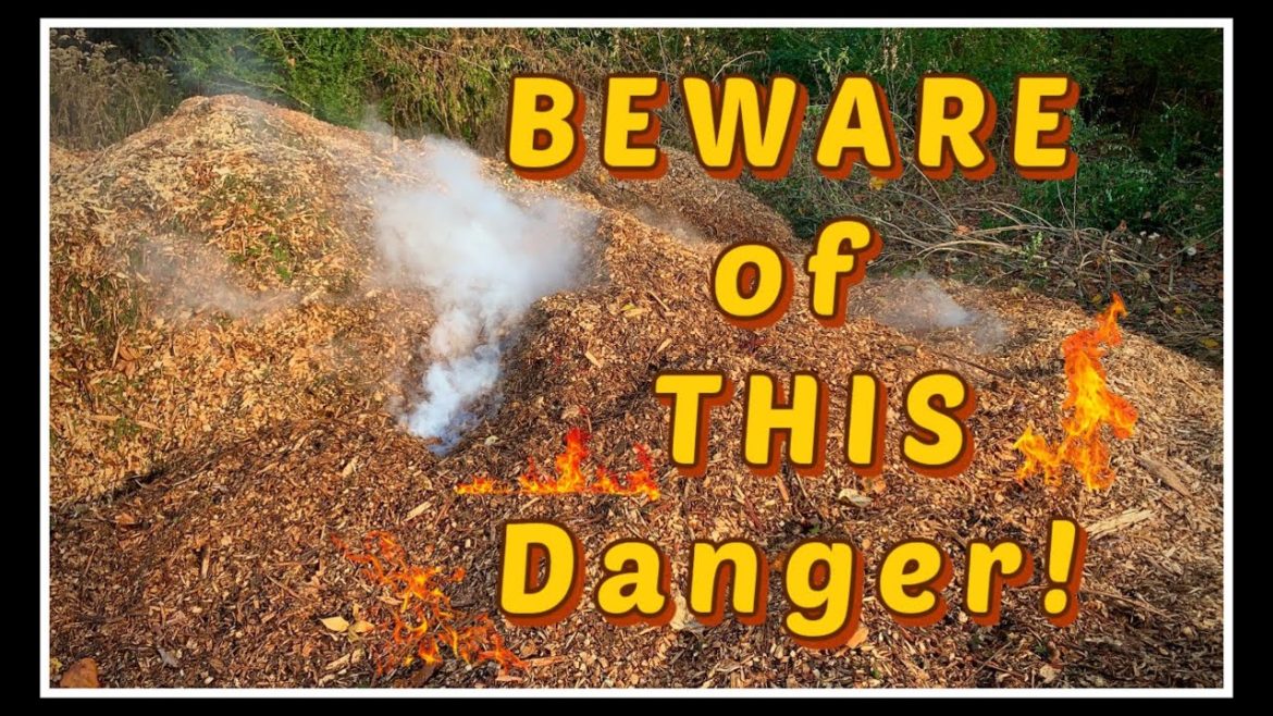 🔥 WARNING! THIS is Dangerous! 🔥