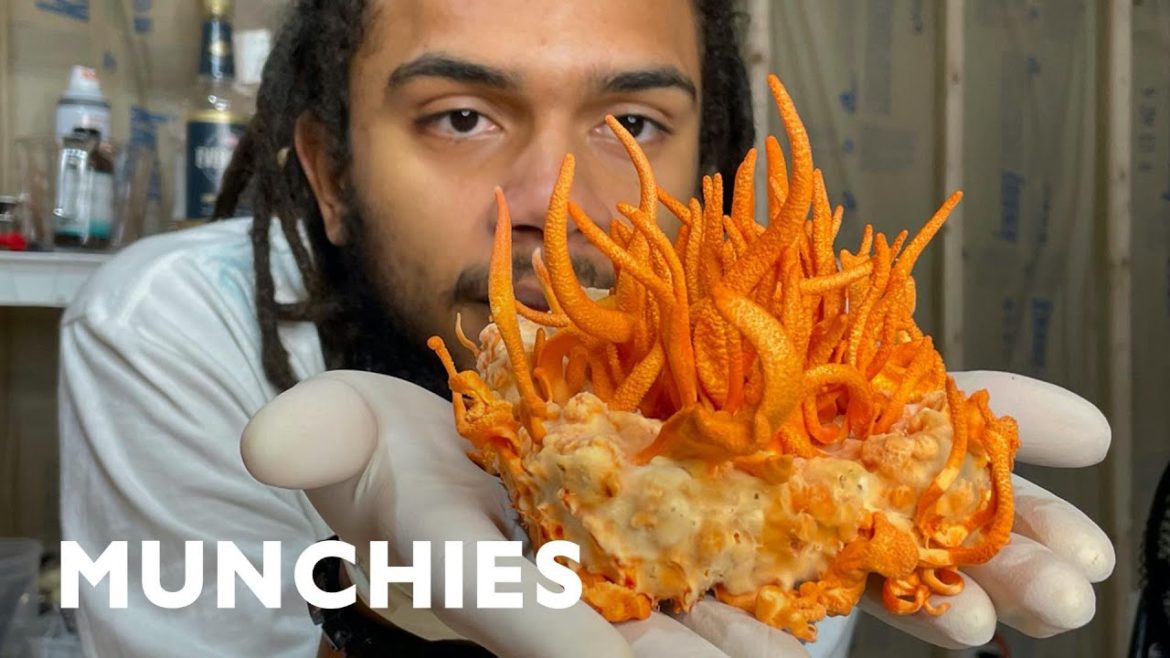 Growing the Rarest Edible Mushrooms Growing the Rarest Edible Mushrooms