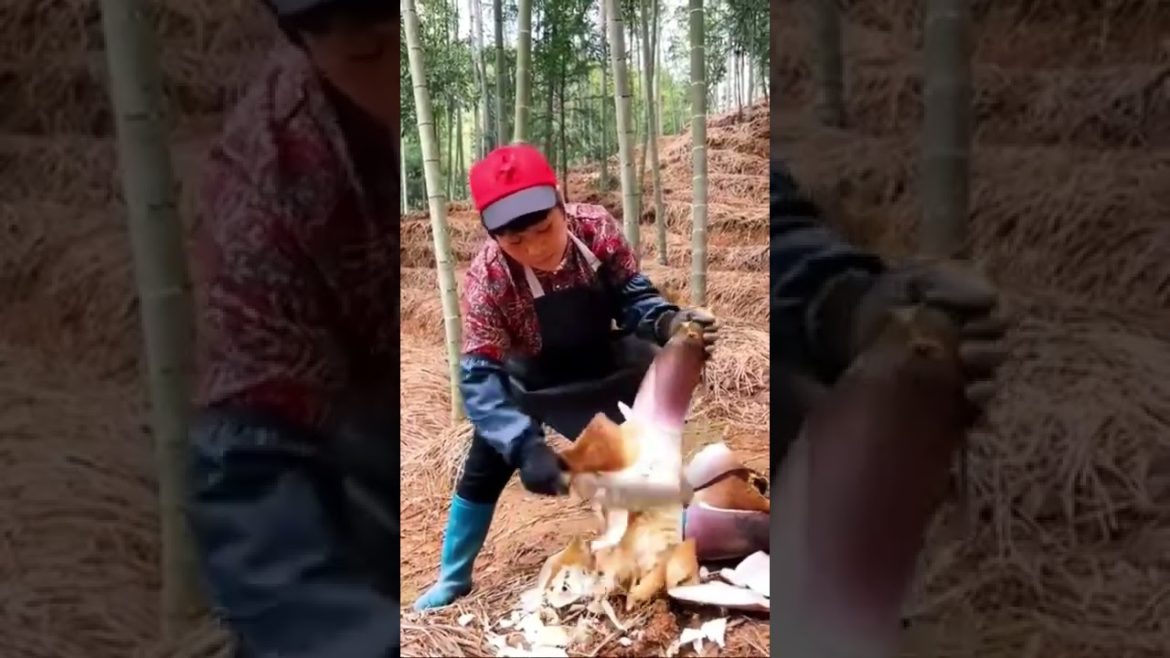 Gardener and great skills at farm