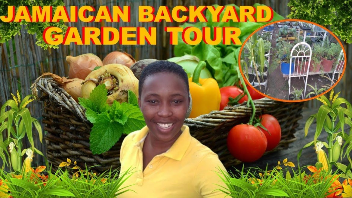 Jamaican Backyard Garden Tour (Farming In The City With Stacey) Jamaican Backyard Garden Tour (Farming In The City With Stacey)