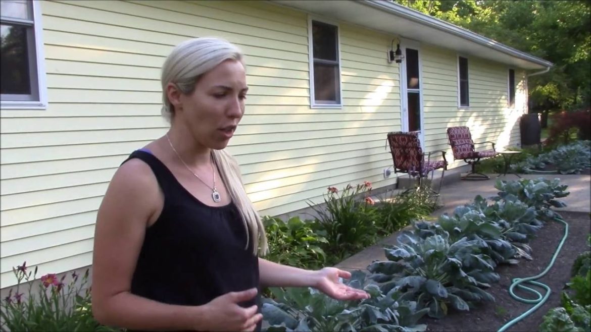 Transforming my front yard into edible landscape Part 2