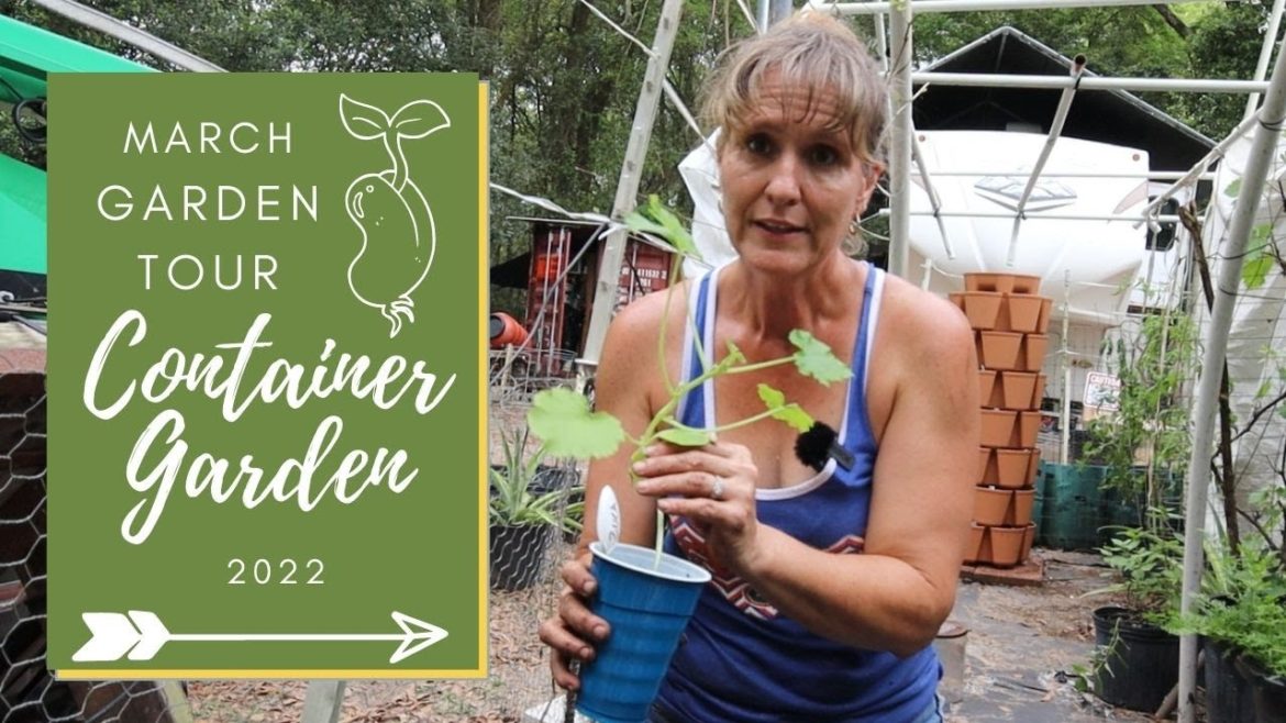 Setting Up the Container Garden | March 2022 Garden Tour | Garden Zone 9A