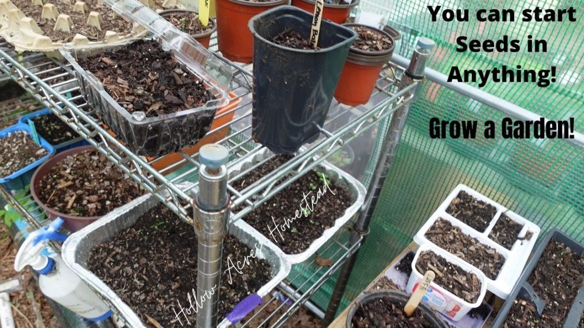 You can start seeds in anything | Qucik Garden Tips