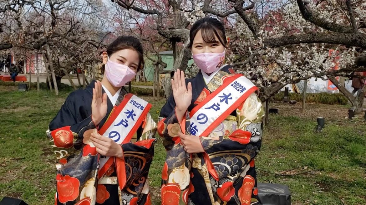 Strolling in a Japanese plum garden in Kairaku-en, Mito, Ibaraki, Japan. Part 1 Strolling in a Japanese plum garden in Kairaku-en, Mito, Ibaraki, Japan. Part 1