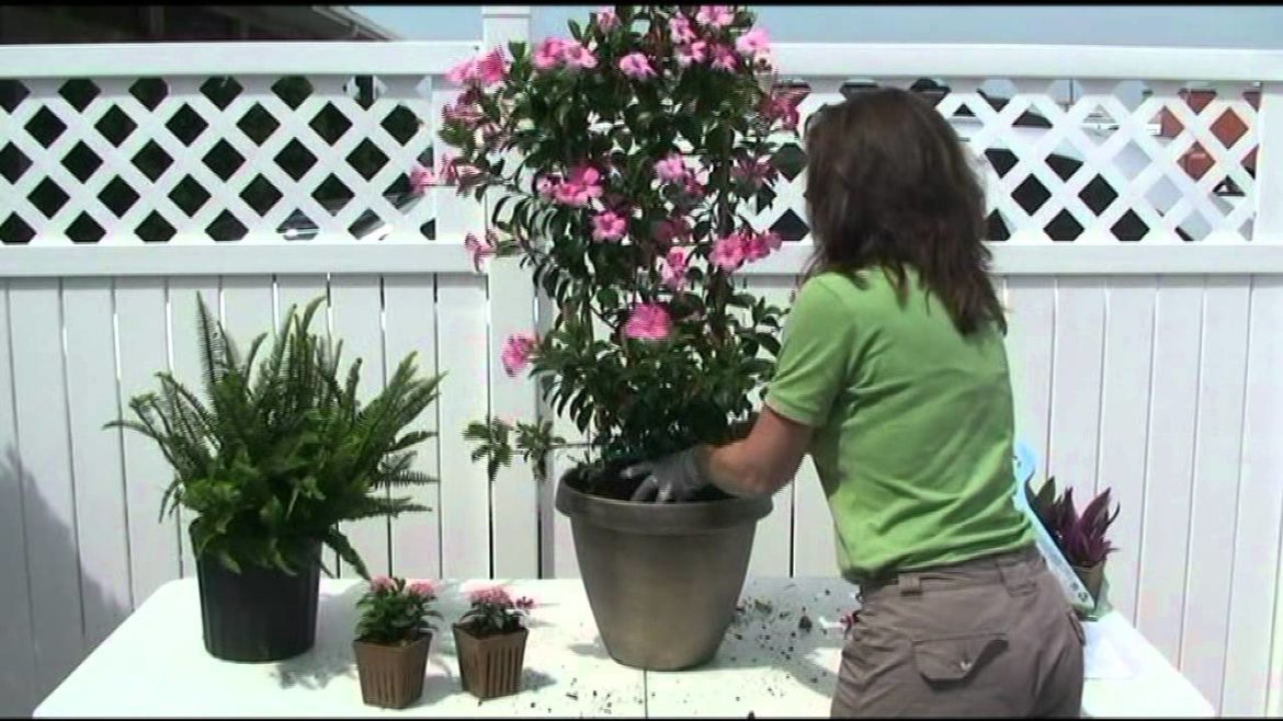 Contain Yourself-April Container Garden