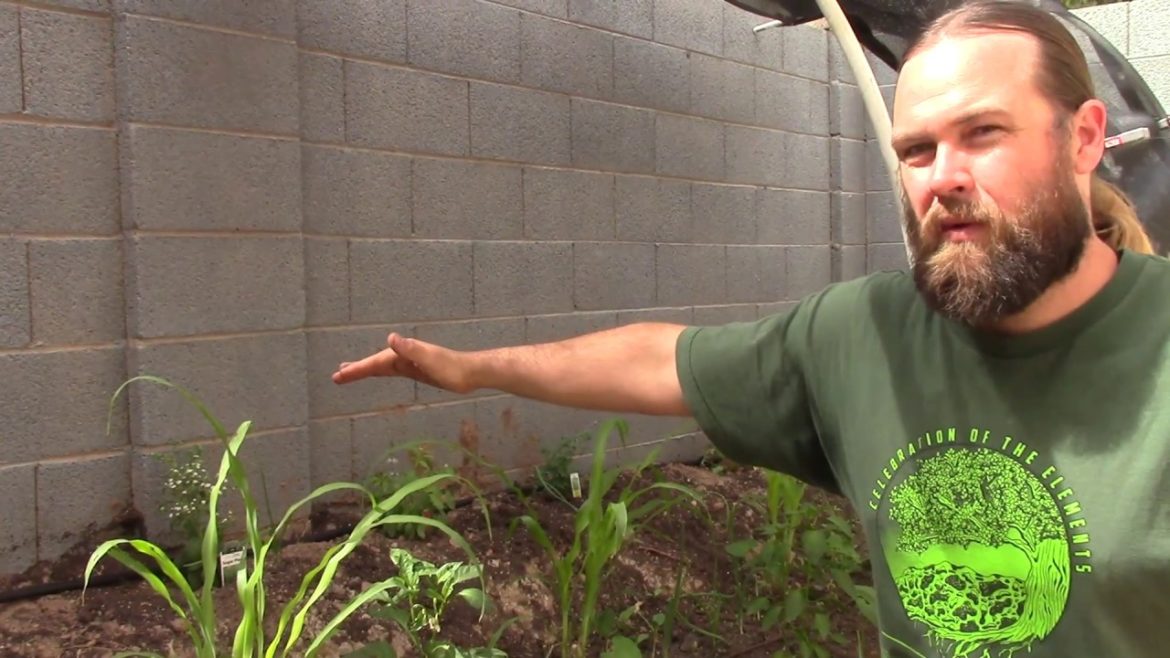 Growing Food in the Desert: A Backyard Garden by Earth Care Design Growing Food in the Desert: A Backyard Garden by Earth Care Design