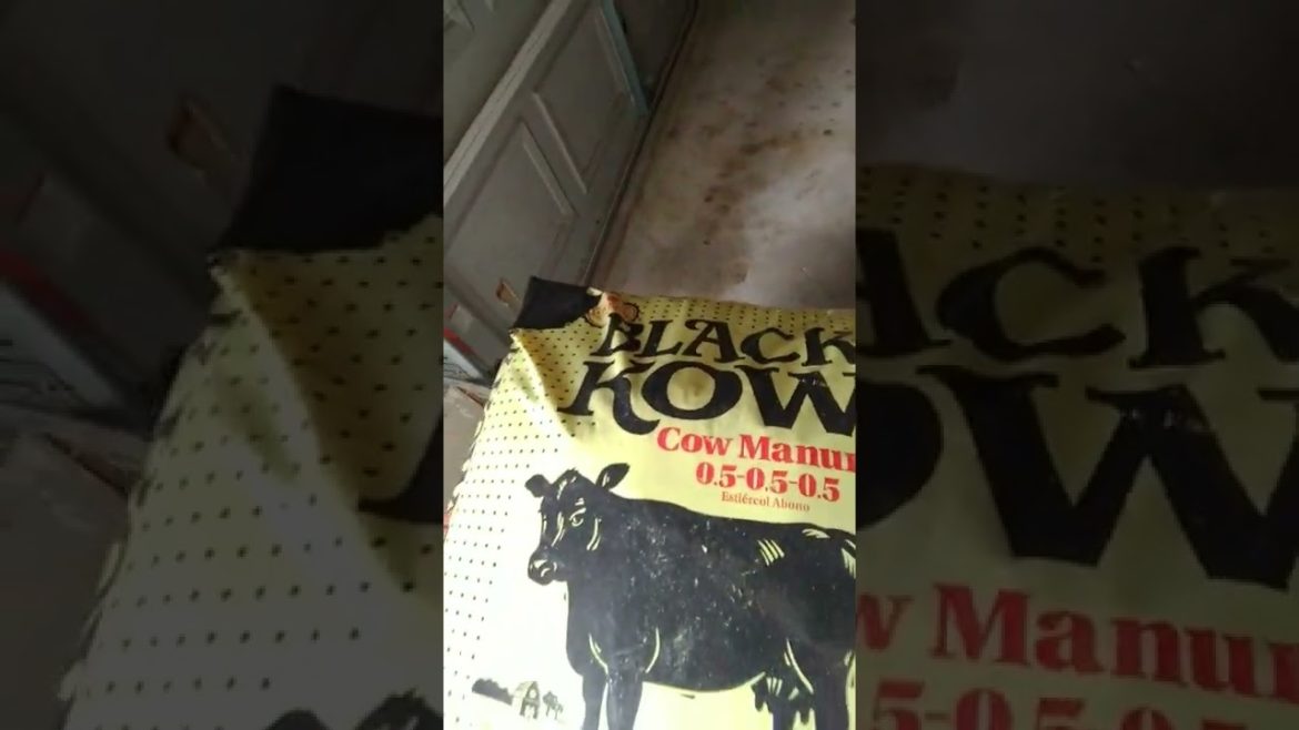 I'm New to Gardening - Don't Go and Buy ALL the Gardening Supplies