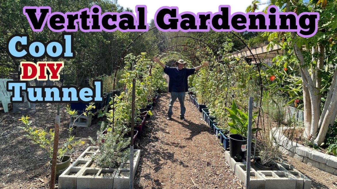Vertical Garden Trellis Tunnel Growing Melons Peppers Watermelon Squash Strawberry Container Garden Vertical Garden Trellis Tunnel Growing Melons Peppers Watermelon Squash Strawberry Container Garden