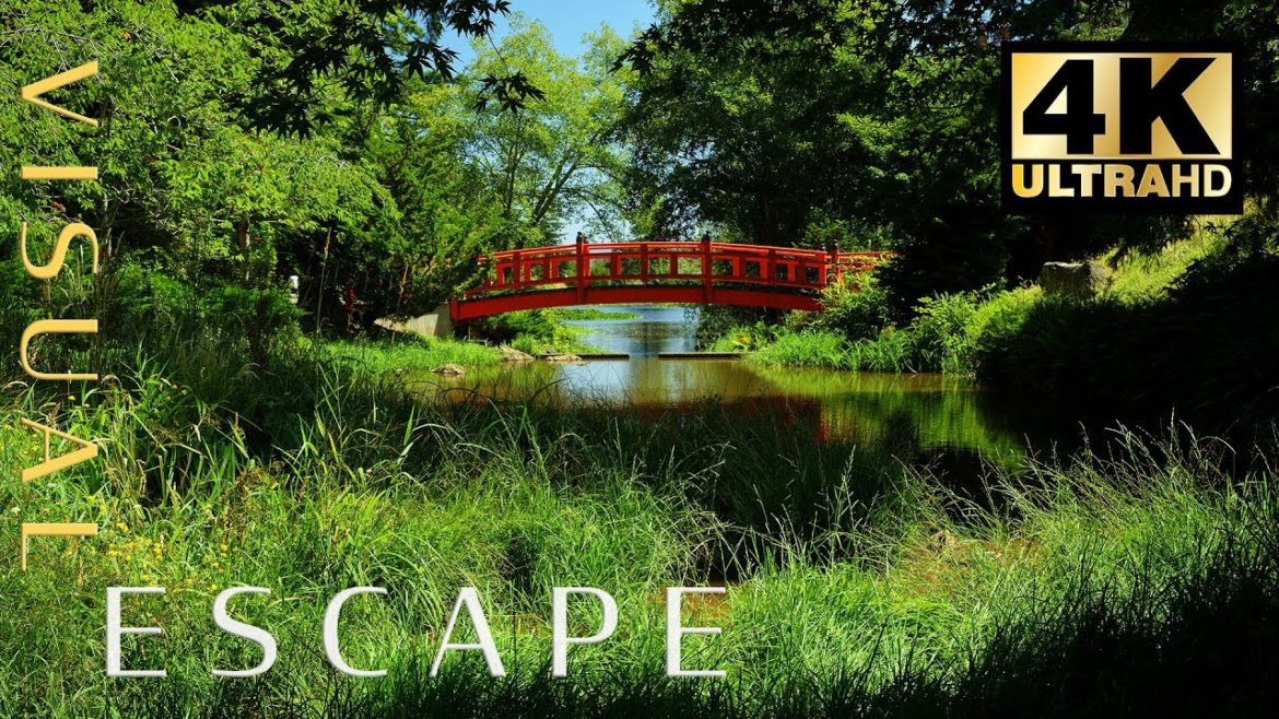 Zen Garden in 4K – Japanese Garden with Relaxing Music and Nature Sounds Zen Garden in 4K - Japanese Garden with Relaxing Music and Nature Sounds