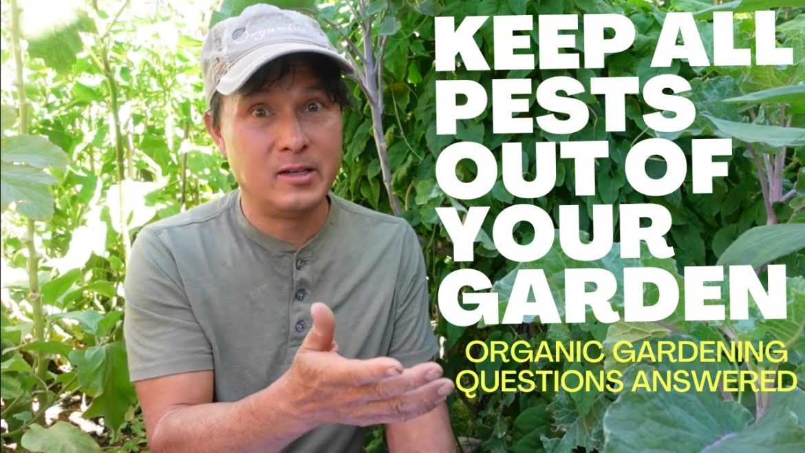 How to Keep All Pest Out Of the Garden & More Organic Gardening Q&A
