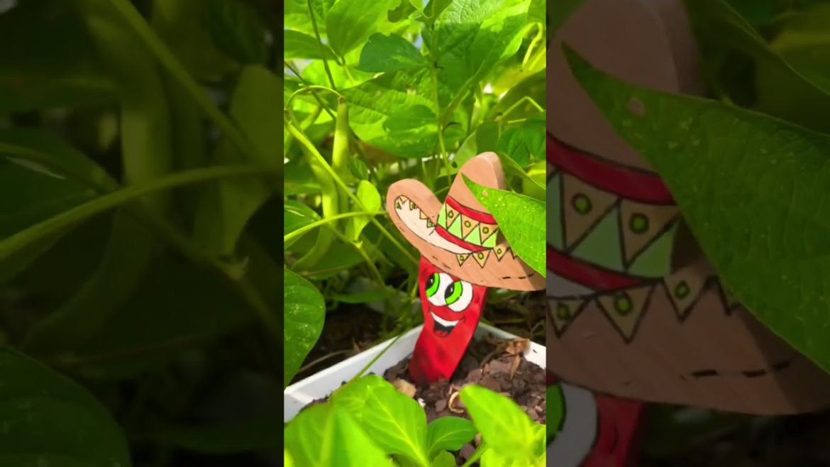 Summer Garden With JALAPEÑO MAN 🌶 #asmrfood #asmrsounds