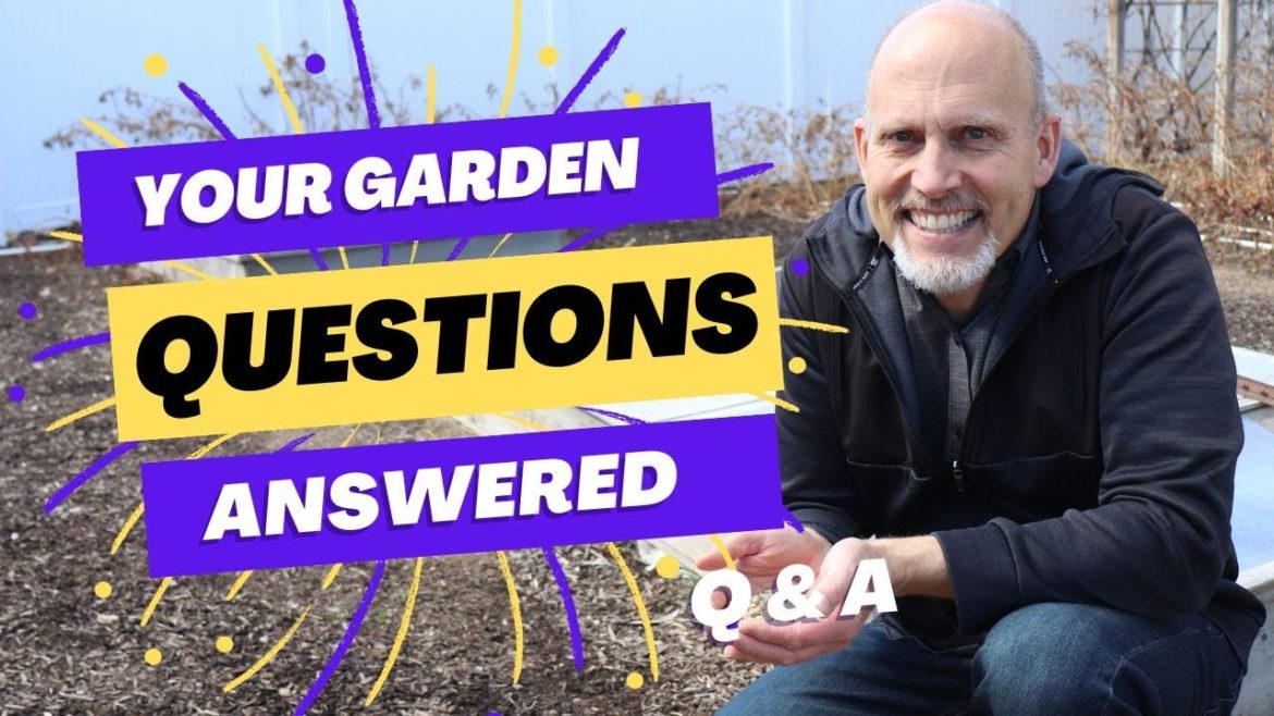 Get your garden questions answered! – Raspberries, Fall Garden clean up, compost, spinach and more! Get your garden questions answered! - Raspberries, Fall Garden clean up, compost, spinach and more!