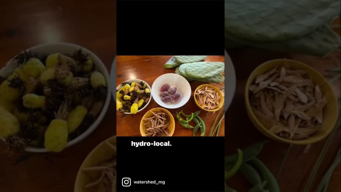 Hydro-local at home: Native edibles Hydro-local at home: Native edibles