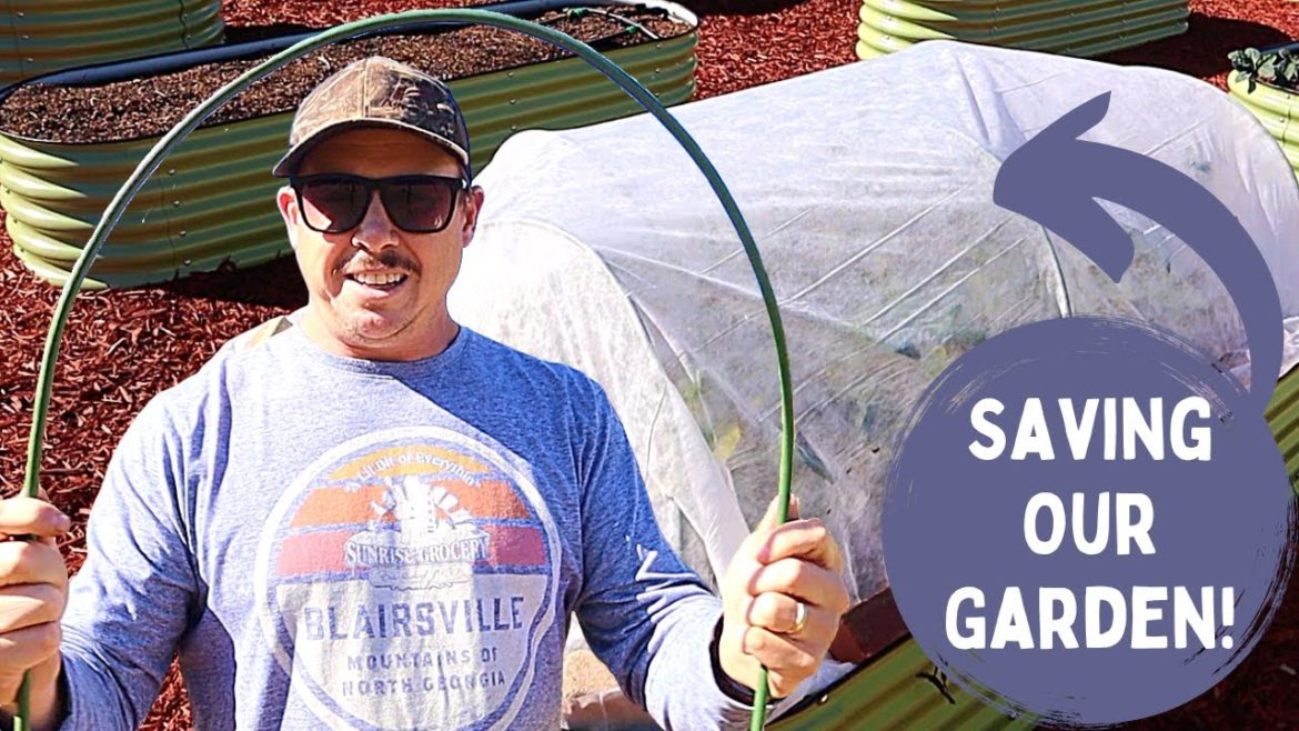 OUR PLANTS ARE GONNA FREEZE! | Can We Save Them?!