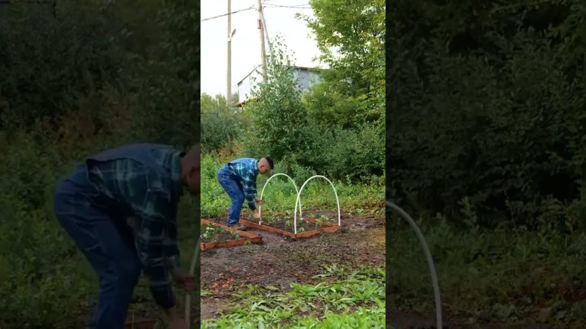 Amazing DIY idea for your garden  ⠀⠀⠀#5mc #diyproject #gardeningtips #newgardenerintown #upcycled #b