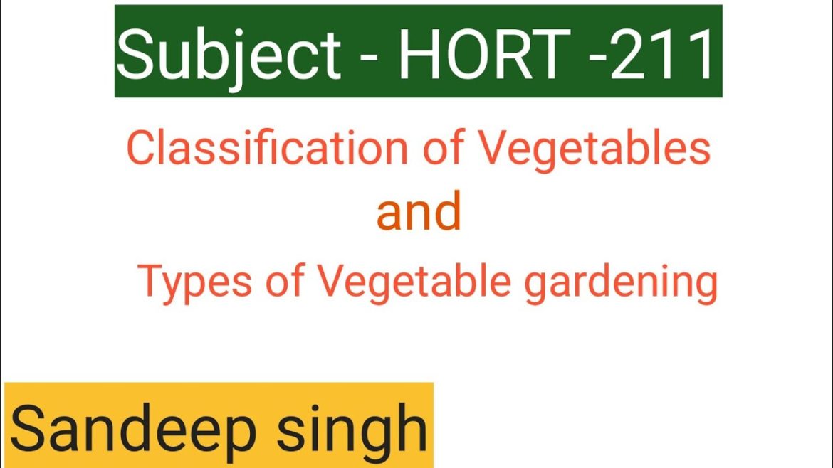 Hort -211 | classification of Vegetables and types of Vegetable gardening | Sandeep Singh brar